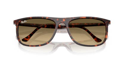 Havana Red Tortoiseshell - 0RB2216 8056262412534