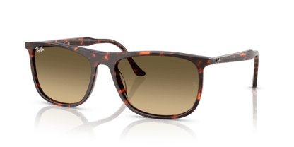 Havana Red Tortoiseshell - 0RB2216 8056262412534