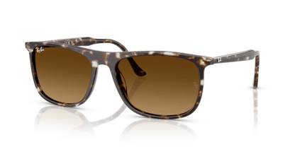 Havana Yellow Tortoiseshell - 0RB2216 8056262412572