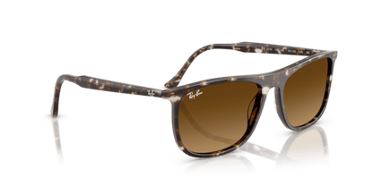 Havana Yellow Tortoiseshell - 0RB2216 8056262412572