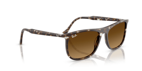 Havana Yellow Tortoiseshell - 0RB2216 8056262412572