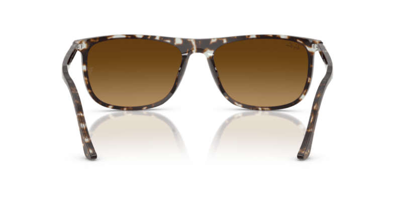 Havana Yellow Tortoiseshell - 0RB2216 8056262412572