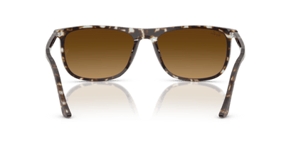 Havana Yellow Tortoiseshell - 0RB2216 8056262412572