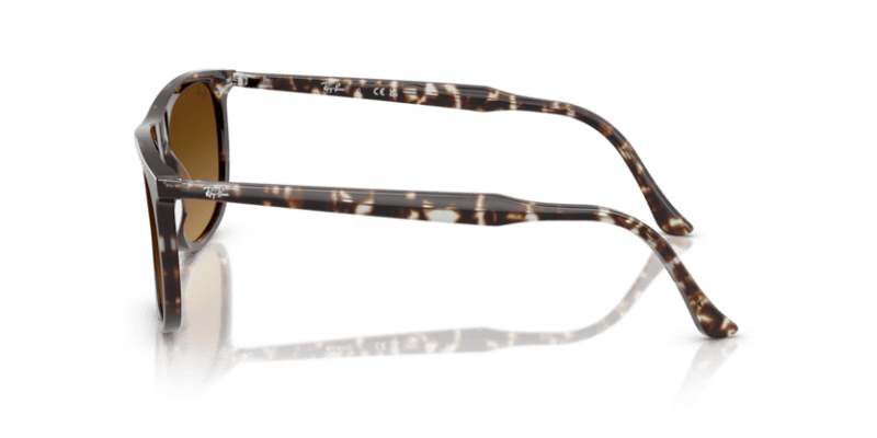 Havana Yellow Tortoiseshell - 0RB2216 8056262412572