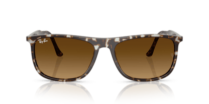 Havana Yellow Tortoiseshell - 0RB2216 8056262412572