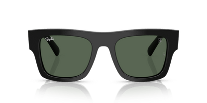 Black - 0RB2217M 8056262477892