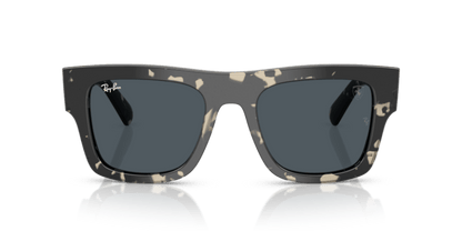 Grey Havana - 0RB2217M 8056262477922