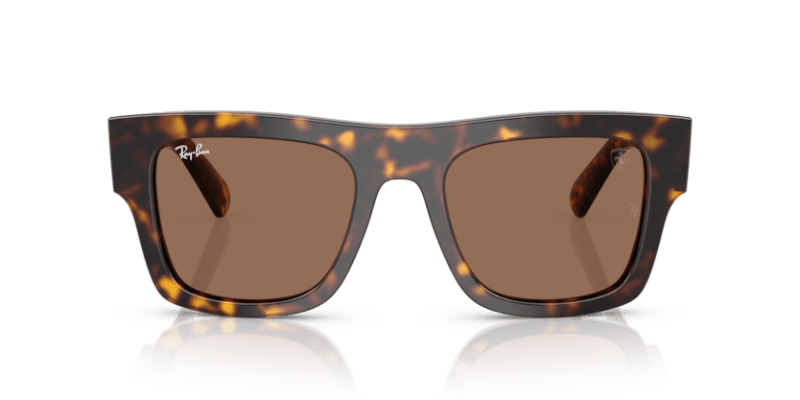 Havana - 0RB2217M 8056262477908