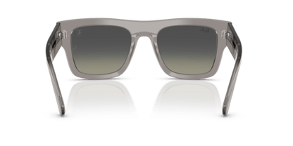 Transparent Grey - 0RB2217M 8056262477939