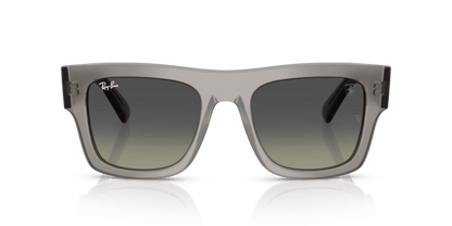 Transparent Grey - 0RB2217M 8056262477939