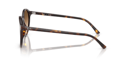 Havana - 0RB2230 8056262246092