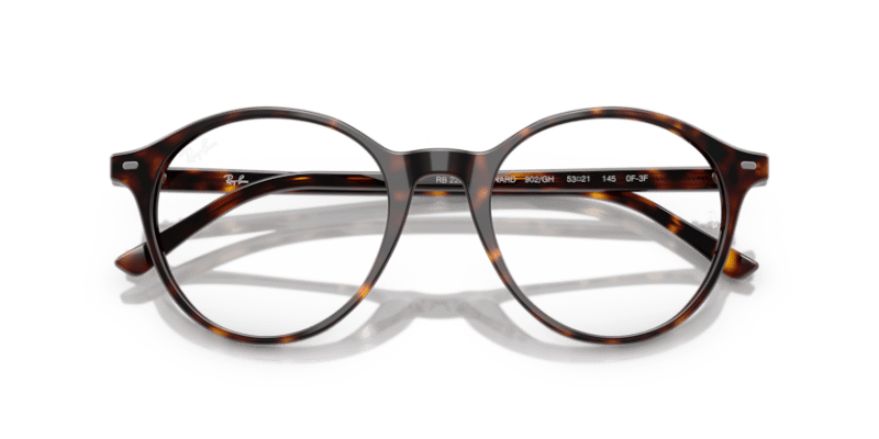 Havana - 0RB2230 8056262281932