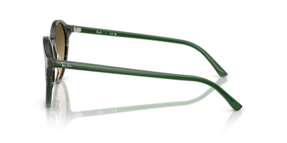 Transparent Shade Fantasy Green - 0RB2230 8056262246054