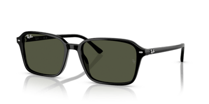 Black - 0RB2231 8056262245842