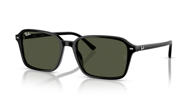 Black - 0RB2231 8056262245842