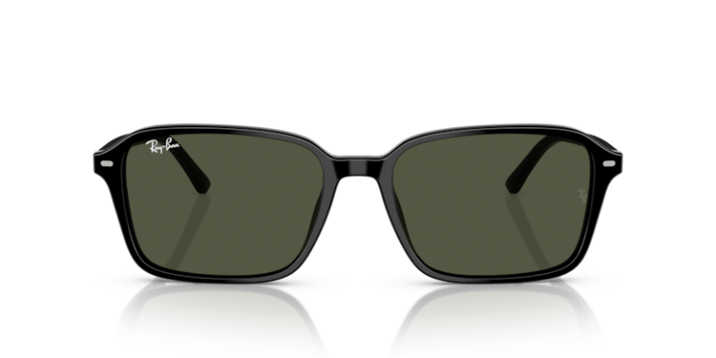 Black - 0RB2231 8056262245842