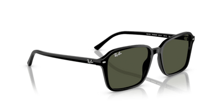 Black - 0RB2231 8056262245842