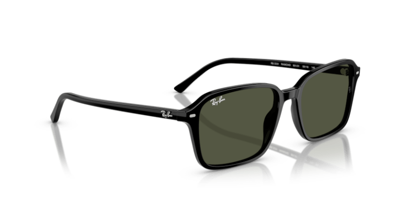 Black - 0RB2231 8056262245842