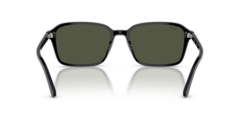 Black - 0RB2231 8056262245842