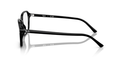 Black - 0RB2231 8056262291733