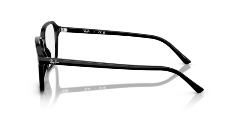 Black - 0RB2231 8056262291733