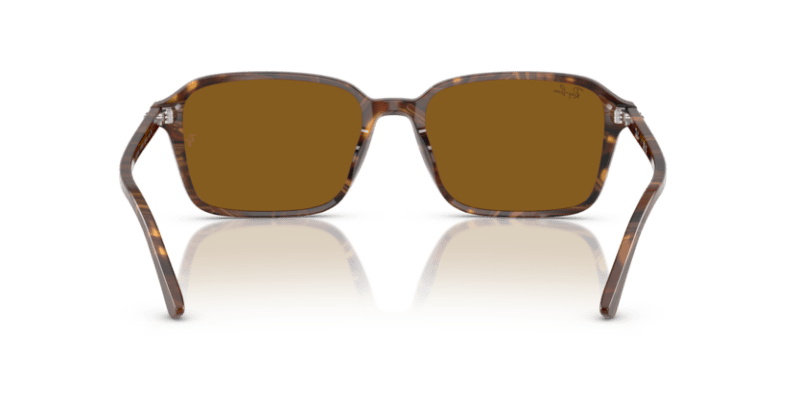 Transparent Fantasy Brown - 0RB2231 8056262245828