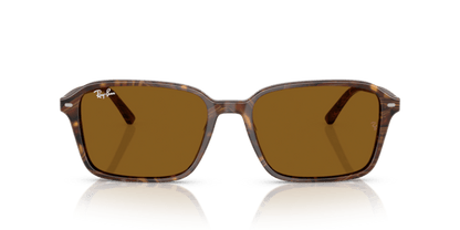 Transparent Fantasy Brown - 0RB2231 8056262245828