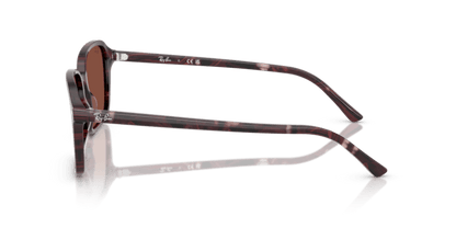 Transparent Fantasy Violet & Red - 0RB2231 8056262245781