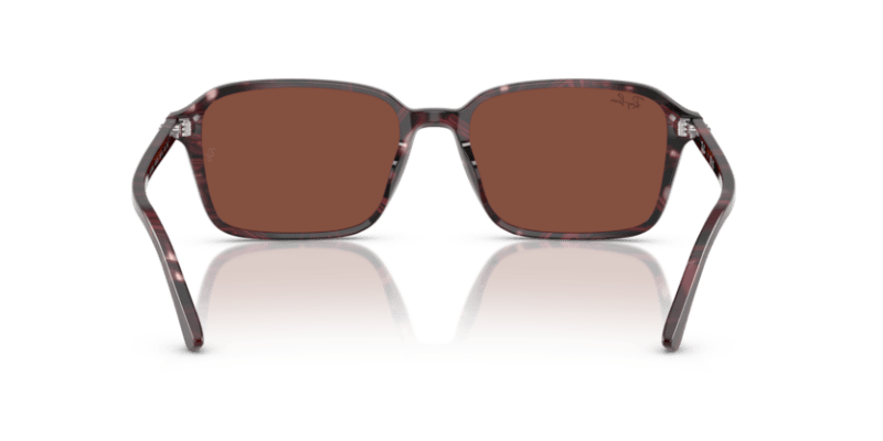 Transparent Fantasy Violet & Red - 0RB2231 8056262245781