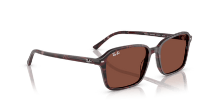 Transparent Fantasy Violet & Red - 0RB2231 8056262245781