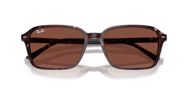 Transparent Fantasy Violet & Red - 0RB2231 8056262245781