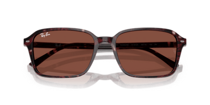 Transparent Fantasy Violet & Red - 0RB2231 8056262245781