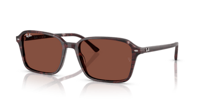 Transparent Fantasy Violet & Red - 0RB2231 8056262245781