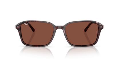 Transparent Fantasy Violet & Red - 0RB2231 8056262245781