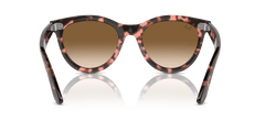 0RB2241 - Ray - Ban - (Pink Havana) Clear & Brown - 51 - 21 - 150 MM - Ardor Eyewear 8056262031025