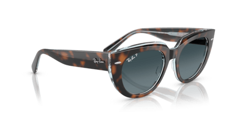 Dark Havana On Transparent Multicolour - 0RB2286 8056262313671