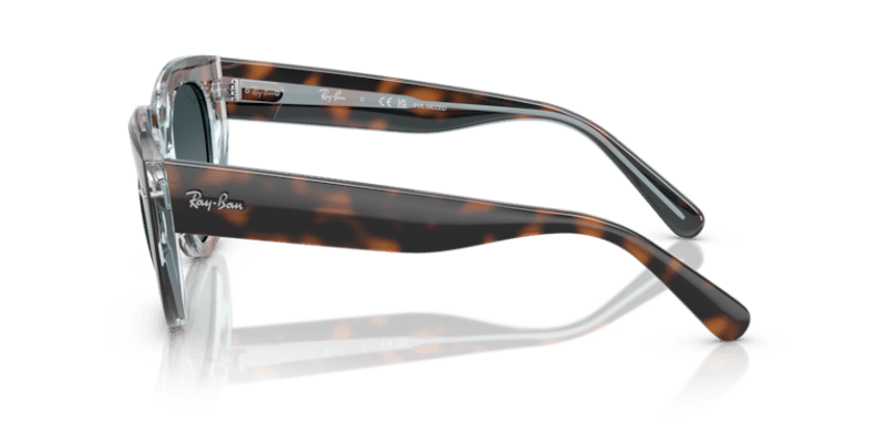 Dark Havana On Transparent Multicolour - 0RB2286 8056262313671