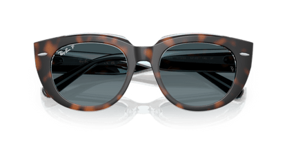 Dark Havana On Transparent Multicolour - 0RB2286 8056262313671