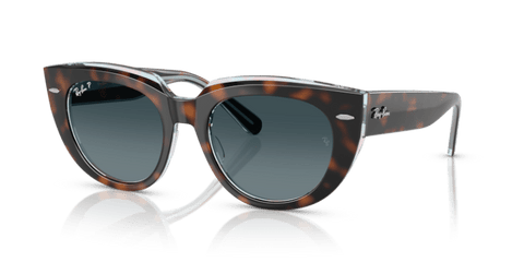 Dark Havana On Transparent Multicolour - 0RB2286 8056262313671