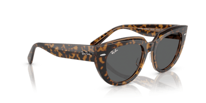 Havana On Transparent Brown - 0RB2286 8056262246290