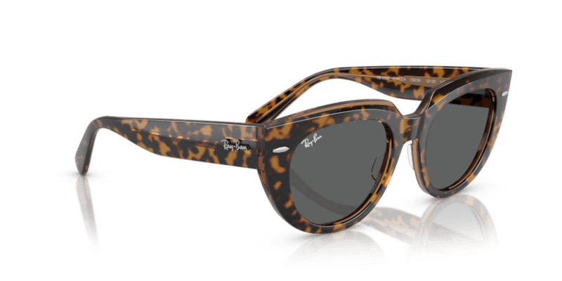 Havana On Transparent Brown - 0RB2286 8056262246290