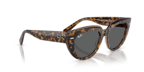 Havana On Transparent Brown - 0RB2286 8056262246290