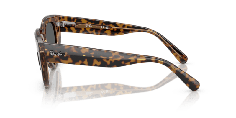 Havana On Transparent Brown - 0RB2286 8056262246290