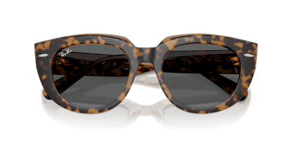 Havana On Transparent Brown - 0RB2286 8056262246290