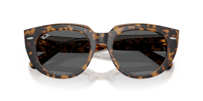 Havana On Transparent Brown - 0RB2286 8056262246290