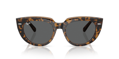 Havana On Transparent Brown - 0RB2286 8056262246290