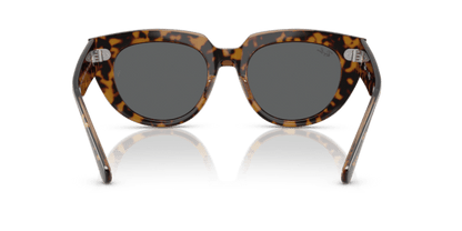 Havana On Transparent Brown - 0RB2286 8056262246290