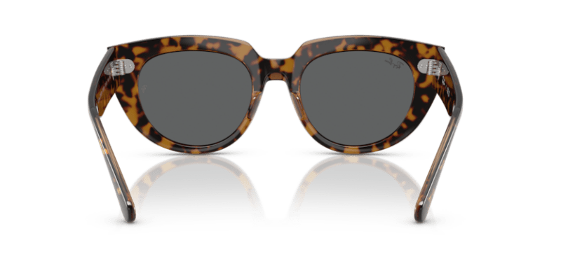 Havana On Transparent Brown - 0RB2286 8056262246290