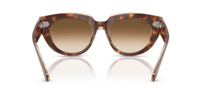 Light Havana On Transparent Multicolour - 0RB2286 8056262246337