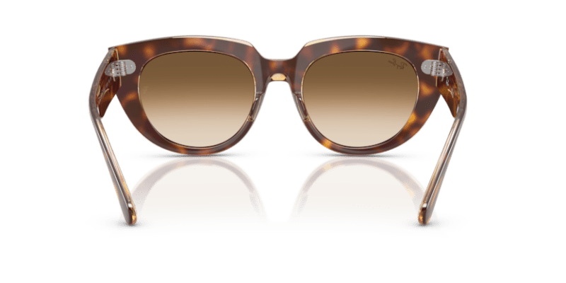 Light Havana On Transparent Multicolour - 0RB2286 8056262246337